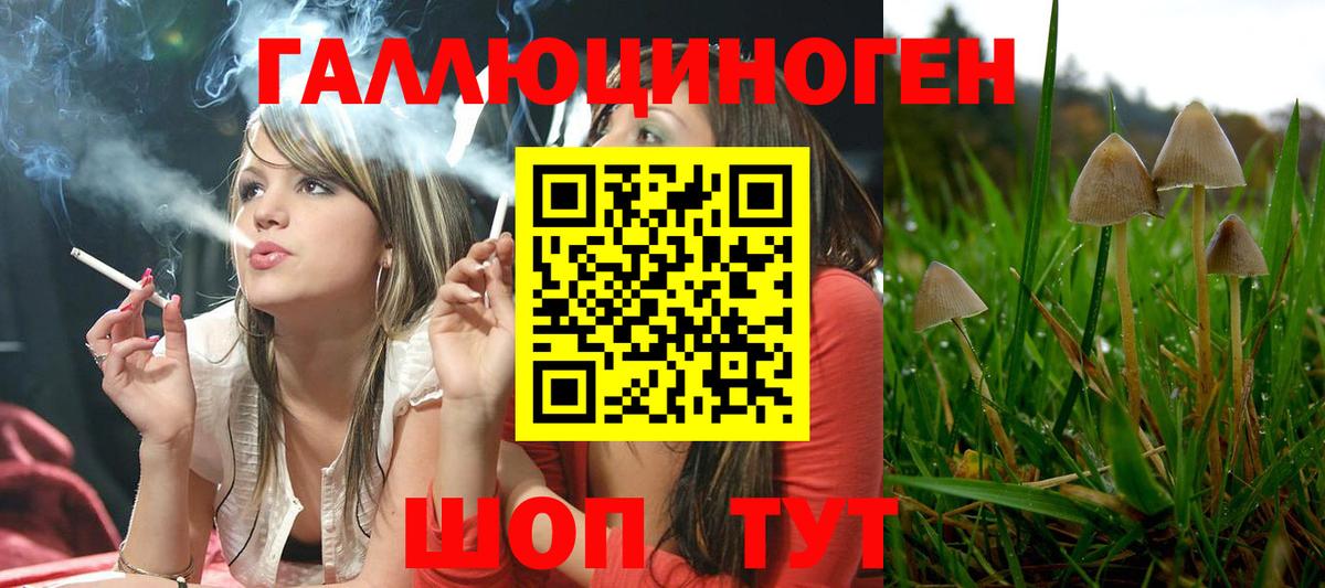 Псилоцибиновые грибы ЛСД  Вход с VPN  Кулебаки  Галлюциногенные грибы GOLDEN TEACHER 